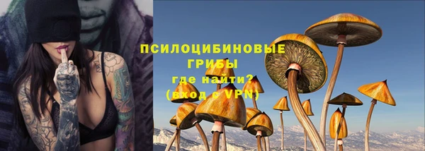 ешки Дмитров