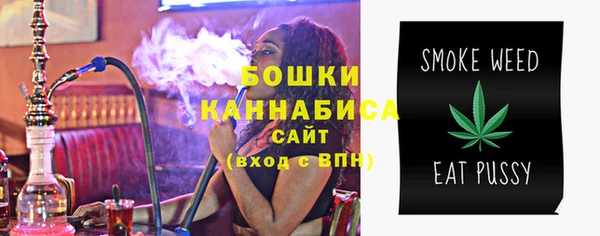гашик Елизово