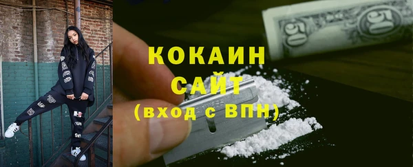 индика Ельня