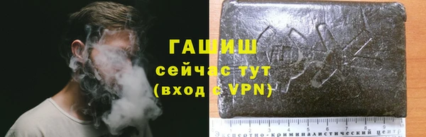 метадон Галич