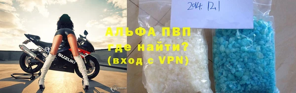 индика Ельня