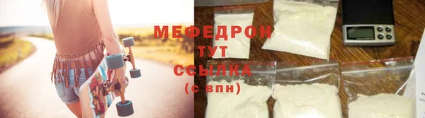 индика Ельня