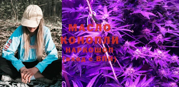 индика Ельня