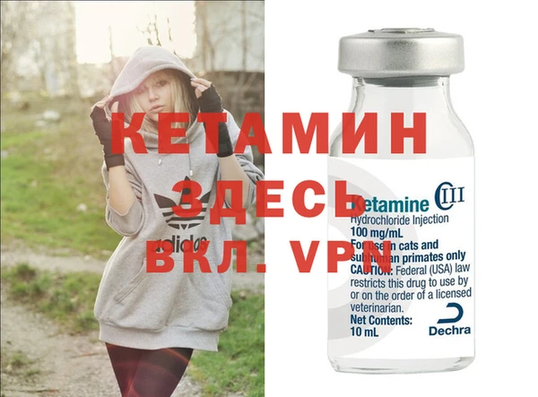 индика Ельня