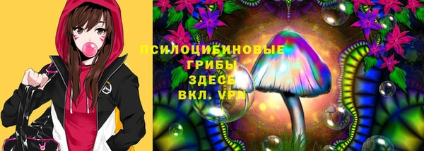 гашик Елизово