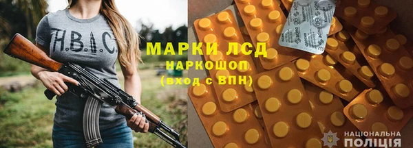 индика Ельня