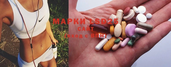 индика Ельня