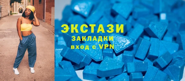 индика Ельня