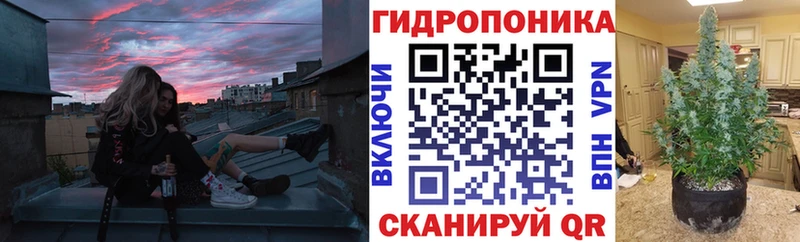 где можно купить   Емва  Канабис AK-47 